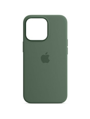 Чохол Silicone Case (HC) для Apple iPhone 13 Pro Eucalyptus