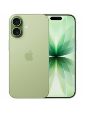 Apple iPhone 17 8GB Sage 256GB Sage (MG6N4)