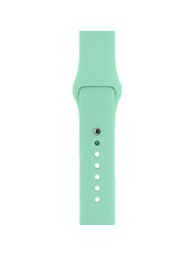 ArmorStandart Silicone Sport Band Apple Watch 38/40/41 mm Зелений Succulent (ARM65081)