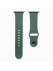 Silicone Sport Band Apple Watch 38/40/41 mm Зелений Pine Green