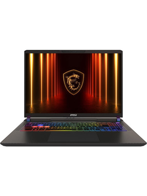 Ноутбук MSI Vector 16 HX AI A2XWHG-821XUA (9S7-15M352-821) Cosmos Gray