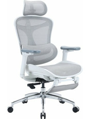 Ігрове крісло SIHOO Doro C300L with Footrest White White (DORO-C300L-A3-102-JT)