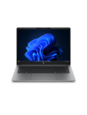 Ноутбук HP 200 G2a 14 Silver SSD 256 ГБ (DV0A9ET) Silver