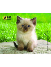 Ігрова поверхня Podmyshku Сіамський котик Multicolor (Сиамский котик)