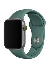 Pino Silicone Sport Band Apple Watch 38/40/41 mm Зелений Pine Green
