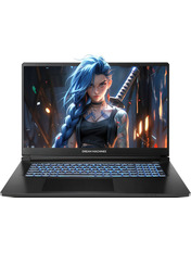 Ноутбук Dream Machines RG5050-17 Black SSD 512 ГБ 17.3 (RG5050-17UA32) Black