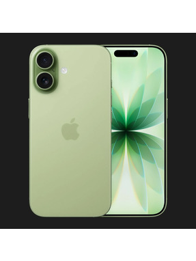 Apple iPhone 17 eSIM 512GB Sage (MG4Q4)