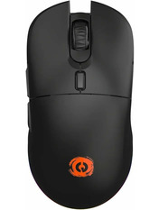 Мишка Canyon Cutlass GMW-11 Black (CND-SGMW11B)