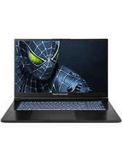 Ноутбук Dream Machines RG5050-17 (RG5050-17UA29) Black