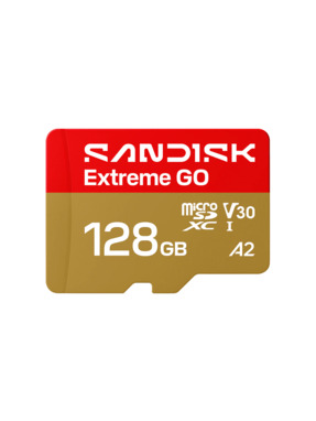 Карта пам'яті SanDisk Extreme Go microSDXC 128GB UHS-I U3 (SDSQXGN-128G-GN6MN)