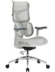 Ігрове крісло SIHOO Doro S100 White White (S100-M302)