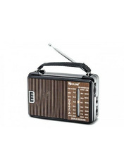 Портативна колонка Golon RX-608 Black Black (GOLON RX-608)