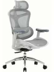 Ігрове крісло SIHOO Doro C300 Pro White White (DORO-C300-PRO-M102)