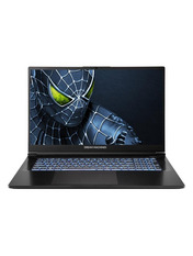 Ноутбук Dream Machines RG5050-17 Black 17.3 SSD 1 ТБ (RG5050-17UA35) Black