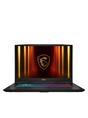 Ноутбук MSI Katana 17 HX B14WFK (B14WFK-400XPL) Black