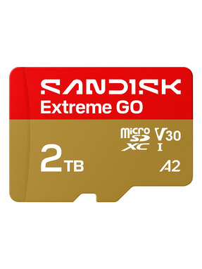 Карта пам'яті SanDisk Extreme Go microSDXC 2TB UHS-I U3 (SDSQXGN-2T00-GN6MN)