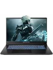 Ноутбук Dream Machines RT5050-17 (RT5050-17UA24) Black