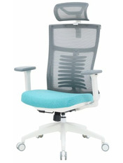 Ігрове крісло OfficePro Balance OC550 White/Dark Gray/Blue White/Dark Gray/Blue (OC550-W-DG-BL)