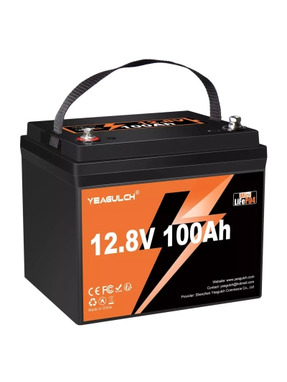 Акумулятор для ДБЖ YEAGULCH LiFePO4 Mini Max 12,8V 100Ah (YEAGULCH-12,8V/100Ah Max)