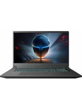 Ноутбук Thunderobot 911 X17 (911X17-i7136H56C1Q165MB) Black