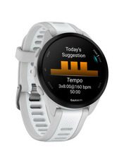 Смарт-годинник Garmin Forerunner 165 Music Mist Gray 43mm Mist Gray (010-02863-31)