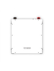 Акумулятор для ДБЖ Dyness LiFePO4 48V 100Ah (A48100)