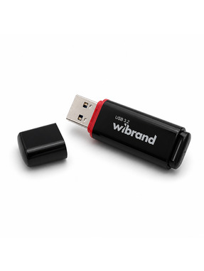 USB накопичувач Wibrand Scarab 16GB Black (WI3.2/SC16P11B)