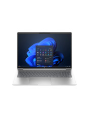 Ноутбук HP ProBook 460 G11 (8Z677AV_ITM2) Pike Silver