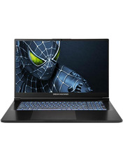 Ноутбук Dream Machines RG5050-17 (RG5050-17UA25) Black