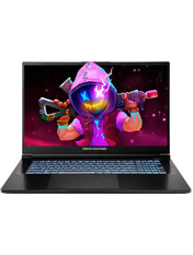 Ноутбук Dream Machines RG5070-17 17.3 Black SSD 1 ТБ (RG5070-17UA30) Black