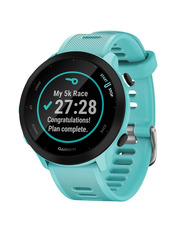 Смарт-годинник Garmin Forerunner 55 Sky Blue 42mm Sky Blue (010-02562-12)