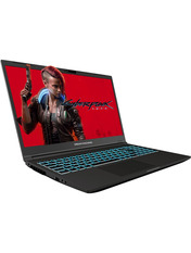 Ноутбук Dream Machines RG3050-15 (RG3050-15UA77) Black