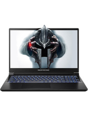 Ноутбук Dream Machines RG5070-15 (RG5070-15UA22) Black