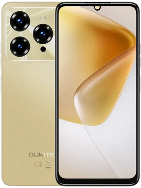 Oukitel C6 12/512GB Gold