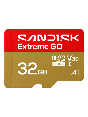 Карта пам'яті SanDisk Extreme Go microSDHC 32GB UHS-I U3 (SDSQXGN-032G-GN6MN)