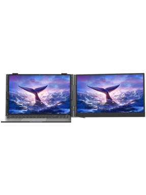 Монітор Blackview SCM6 Single Grey 14" (BVSCM6)