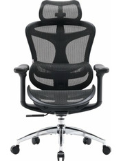 Ігрове крісло SIHOO Doro C300L Black Black (DORO-C300L-A3-101)