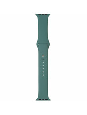 ArmorStandart Silicone Apple Watch 42/44/45/49 mm Зелений Pine Green (ARM56845)