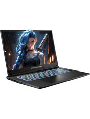 Ноутбук Dream Machines RG5050-17 (RG5050-17UA31) Black