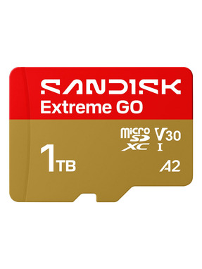 Карта пам'яті SanDisk Extreme Go microSDXC 1TB UHS-I U3 (SDSQXGN-1T00-GN6MN)
