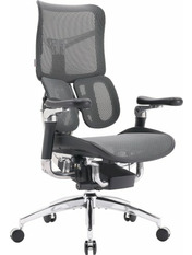 Ігрове крісло SIHOO Doro S300 Dark Grey Dark Grey (S300-M201)