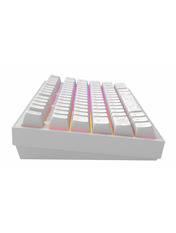 Ec4c9ca4a6e2536eb11e68303ba2aae4