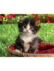 Ігрова поверхня Podmyshku Кошення у кошику Multicolor (Котенок в корзине)