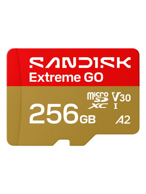 Карта пам'яті SanDisk Extreme Go microSDXC 256GB UHS-I U3 (SDSQXGN-256G-GN6MN)