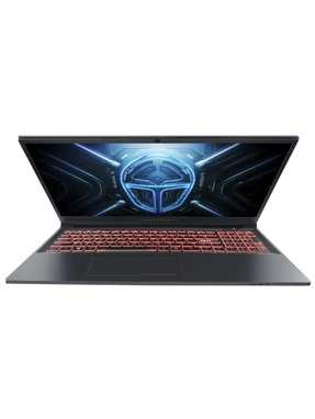 Ноутбук Thunderobot R16 (R16-i7146HX56C1Q300RG) Gray