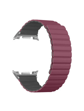ArmorStandart MagLink Samsung Galaxy Watch 8/8 Classic Grey (ARM89081)