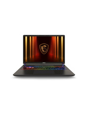 Ноутбук MSI Vector 16 HX AI (A2XWHG-232XUA) Cosmos Gray